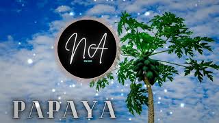 COPYRIGHT FREE MUSIC FOR TRAVEL VLOGS & VIDEOS | Papaya by tubebackr