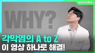 [해피 eye 백과] 각막에 염증이 생겼다고? 각막염의 모든 것!