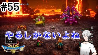 #55【実況】ドラゴンクエスト３　やるしかないよね【PS5】コメントネタバレあり