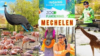 FULL inside tour \u0026 Activities of ZOO PLANCKENDAEL , MECHELEN , BELGIUM || Chitra_world