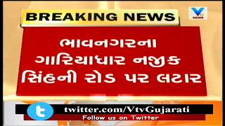 Bhavnagar: King of Forest Stroller on road near Gariadhar Watch video | Vtv News