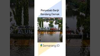 Menyelisik Penyebab Banjir Bandang Demak #banjir #demak #bencana #shorts