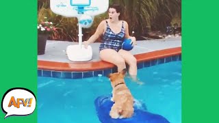 HOWLING For HOOPS! 🐶😆 | Funniest Animals | AFV 2020