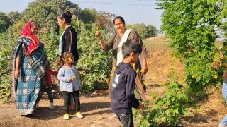 વાડી ની મોજે મોજ | વાડી ના તાજા લીલા શાકભાજી ડોલી રીંગણ અને સરસો ની ખેતી | Village Life | #farm