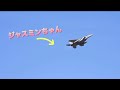 🐻ジャスミンちゃんハイレート 4番機 【千歳基地】2023.09.27 千歳基地 ￼ f15 戦闘機