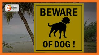 11yr old girl attacked by British national's dog at beach in Watamu