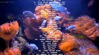 30 Soulful Melodies  Flute Version  Audio Jukebox  Instrumental  Vijay Tambe part 7