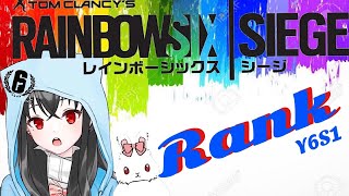 R6Sフルパランク　プラチナ帯