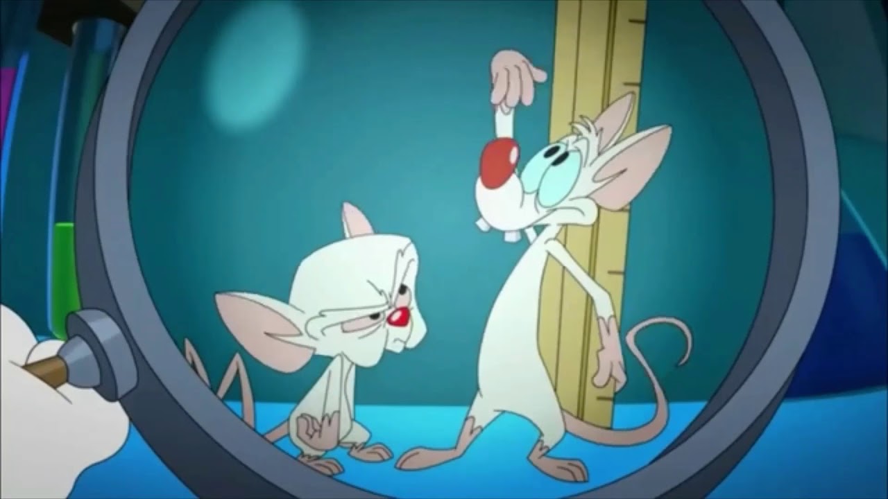 Pinky And The Brain Theme Song 2020 1 Hour - YouTube