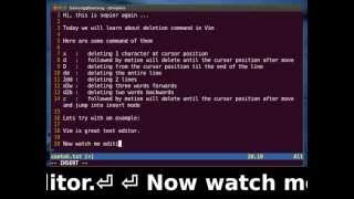 Vim Tutorial - How To Delete a Text