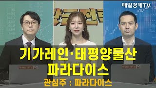 [고앤스탑] 기가레인ㆍ태평양물산ㆍ파라다이스 / 관심주 : 파라다이스 / 황금전략 / 매일경제TV