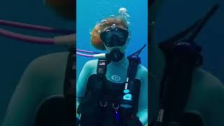 Blue Heron Bridge: Diving 101 🤿