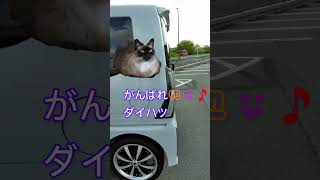 【新型タントカスタム】納車から１年たって、#shorts #ダイハツ #タントカスタム