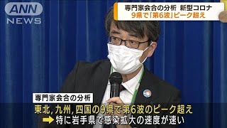 東日本や九州など9県で　感染者「第6波」ピーク超え(2022年4月14日)