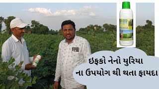 ઇફકો નેનો(તરલ) યુરિયા નો ઉપયોગ કરવાથી થતા ફાયદાઓ #nanourea #agriculture #iffco #farming #fertilizer