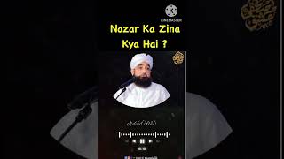 Nazar Ka Zina | Saqib Raza Mustafai | Hindi Islamic Status #saqibrazamustafai #shorts
