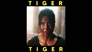 Salman Khan & Katrina Kaif highlight clips in tiger zinda hai movie || #salmankhan #bollywood