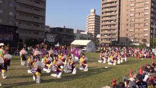 乱気流（Ⅱ）☆大賞（ステージ）・準大賞(ストリート）＠2014　湘南よさこい