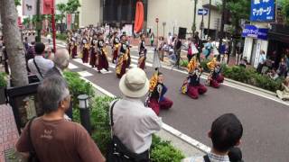 武蔵野大学 東龍天 横浜よさこい パレード2回目2 2015年5月28日