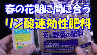 【液肥】春の花期に間に合う リン酸速効性肥料 特典映像あり！ 【園芸、家庭菜園】