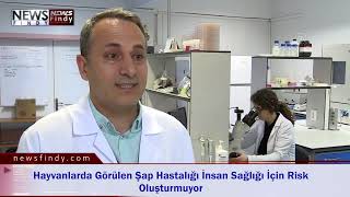 Hayvanlarda Görülen Şap Hastalığı İnsan Sağlığı İçin Risk Oluşturmuyor