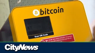 How to avoid falling victim to cryptocurrency scams