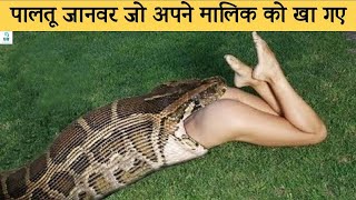 जब खूंखार जानवर अपने शिकार को जिंदा निगल गए | When Animals Hunting \u0026 Eating Prey Alive