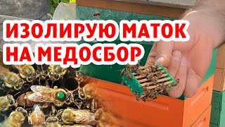 ИЗОЛЯЦИЯ МАТОК НА МЕДОСБОР!!!