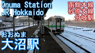 【函館本線砂原支線分岐駅】大沼駅を探検してみた Ōnuma Station. JR Hokkaido Hakodate Main Line