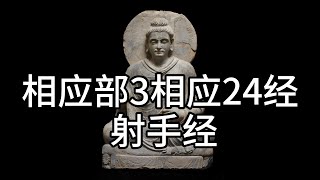 Corresponding Part 3 Corresponding 24 Sutras Sagittarius Sutra, Chinese vernacular translation (135)