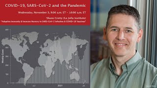 Shane Crotty: "Adaptive Immunity and Immune Memory to SARS-CoV-2 and COVID-19 Vaccines" (11/3/21)