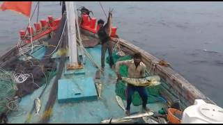 Fishing Vessel (Veraval)