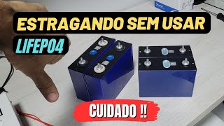 LIFEPO4 Estragando SEM USAR! Veja como não perder suas Baterias