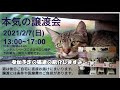 ノネコ６ 人慣れしていない猫の爪の切り方