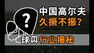 《菜鸟资讯》中国高尔夫球具大揭秘