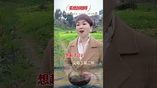 《美酒加咖啡》内容启发搜索 经典老歌 美酒加咖啡 音乐 抖音热歌