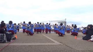 名古屋学生チーム鯱20週年　鯱フェス　今、輝こう