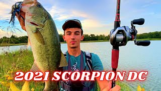 Shimano 21 Scorpion DC REVIEW | This Reel Is INSANE!!