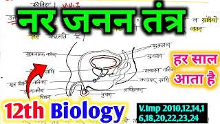 🔥नर जनन तंत्र | Male Reproductive System 12th biology | nar janan tantra sachitra varnan board exam