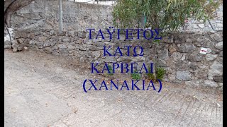 ΤΑΫΓΕΤΟΣ ΚΑΤΩ ΚΑΡΒΕΛΙ  ΧΑΝΑΚΙΑ