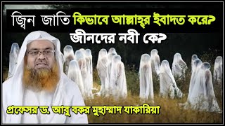 জিনদের নবী কে, জ্বীনরা কিভাবে আল্লাহর ইবাদত করে? জ্বীন সম্পর্কে চমৎকার কিছু তথ্য