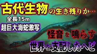 【ゆっくり解説】世界が震えた…超巨大海蛇の怪物が目撃され写真も撮影!?コッコリー湖の怪物アイダハルは古代生物の生き残りなのか【古代生物生存】