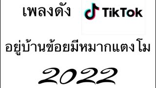 อยู่บ้านข้อยมีหมากแตงโม เพลงดังtiktok แร็พสดกวนๆ