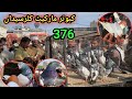 376 | Kabootar Mandi Kallar Syedan | Latest Update High Flying Pigeon Market Price Today 20/11/2024