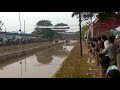 bangadi kolli kambala 2019