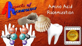 What is Amino Acid Racemization? - Dating Technique: Aspects of Archaeology (Special Edition)