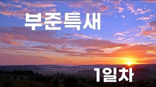 2022년 부준특새 1일차