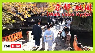 【京都Walk/祇園/舞妓】芸妓さん突然の○○に驚くハプニング発生😲❗快晴の祇園＆巽橋の桜紅葉も美しく…祇園甲部🍁芸妓さんの御礼回り😊😺 (美羽子さん襟替え) 12pm 2023 KYOTO No56