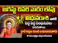 Mithuna Rashi Phalalu August 2024 | August Month Horoscope 2024 | Gemini Sign | 9MaxTv Telugu