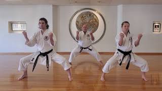 Transitioning in stances - Washington Shotokan Association